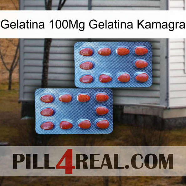 Jelly 100Mg Kamagra Jelly 05.jpg